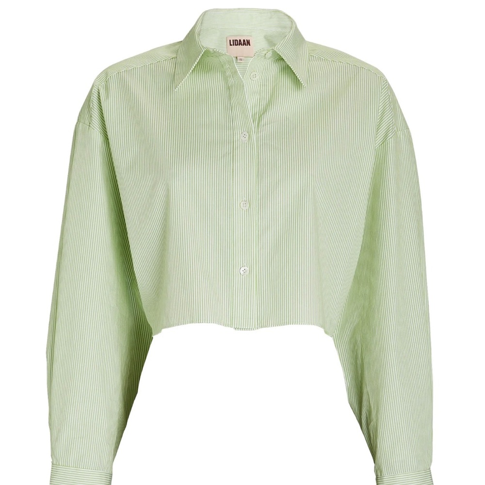 Andrea Cropped Striped Poplin Shirt | LIDAAN